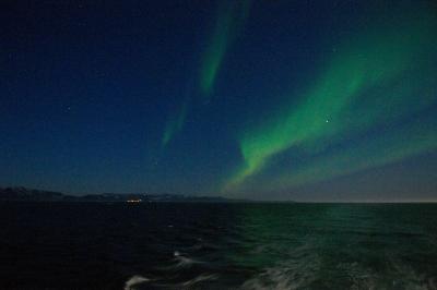 post-2690-0-14127700-1384437535_thumb.jp