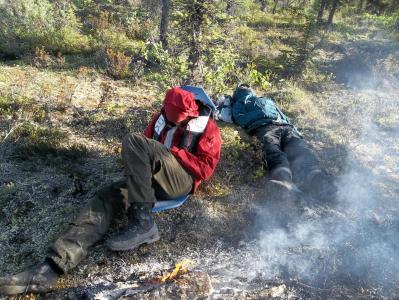 post-3653-0-00370200-1384956047_thumb.jp