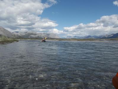 post-3653-0-30585000-1384956231_thumb.jp