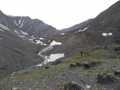 post-3653-0-36937600-1384955913_thumb.jp