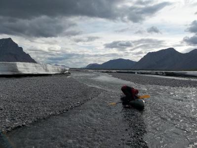 post-3653-0-38826400-1384955733_thumb.jp