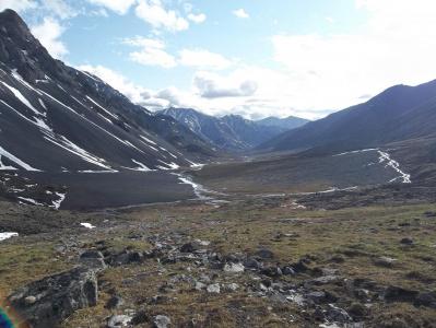 post-3653-0-72160100-1384955770_thumb.jp