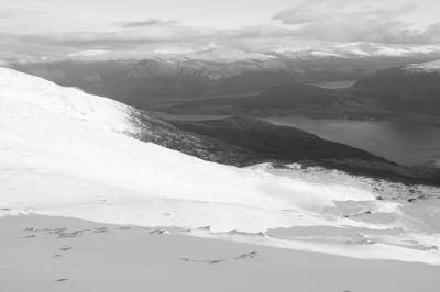 post-3941-0-10155500-1384085929_thumb.jp