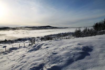 post-4016-0-02220000-1384104659_thumb.jp