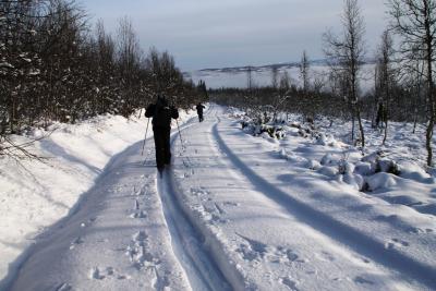 post-4016-0-52952600-1384104627_thumb.jp