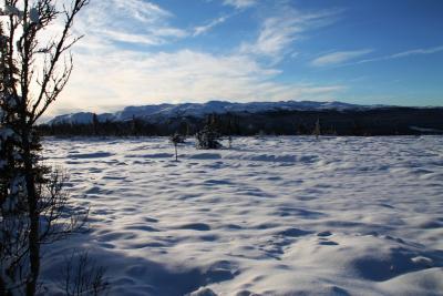 post-4016-0-69331500-1384104766_thumb.jp