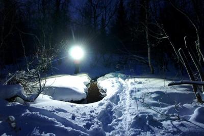 post-7957-0-34166000-1385493836_thumb.jp