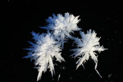 post-7957-0-35395900-1385493791_thumb.jp