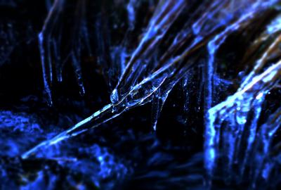 post-7957-0-43749000-1385493787_thumb.jp