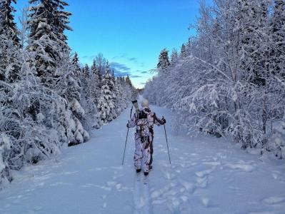 post-7957-0-79487300-1385493865_thumb.jp