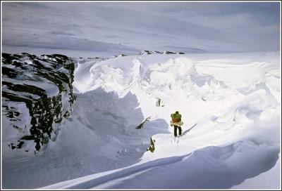 post-8333-0-10258400-1383311199_thumb.jp