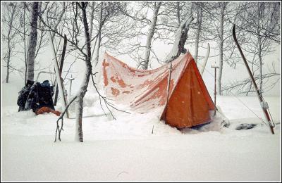 post-8333-0-39884400-1383311117_thumb.jp