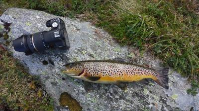 post-8967-0-59960900-1383772407_thumb.jp