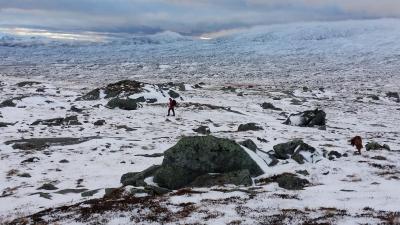 post-10401-0-24004500-1414873425_thumb.j