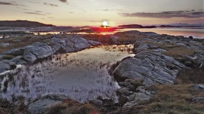 post-10401-0-60283000-1416695447_thumb.j