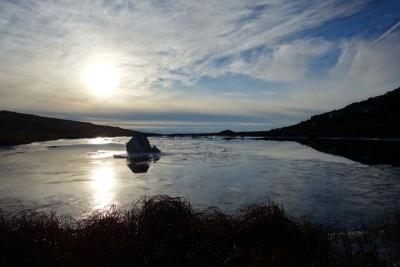 post-10468-0-01766600-1415669375_thumb.j