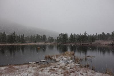 post-10468-0-42454800-1415669784_thumb.j