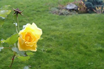 post-1073-0-18693900-1416666330_thumb.jp