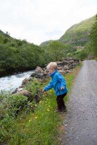 post-1265-0-27434600-1416318753_thumb.jp