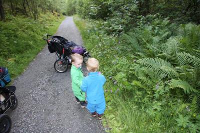 post-1265-0-48595300-1416318997_thumb.jp