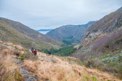 post-12740-0-59406700-1416779108_thumb.j