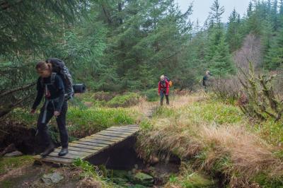 post-12740-0-68804800-1416779104_thumb.j