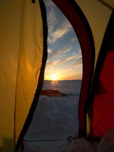 post-13206-0-59743500-1416216886_thumb.j