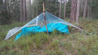 post-14793-0-12740300-1417106121_thumb.j