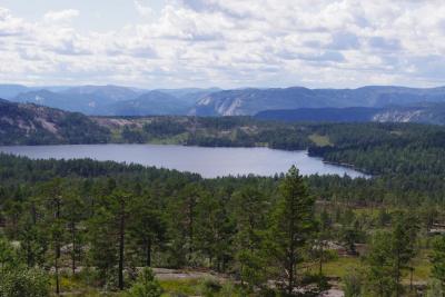 post-3118-0-98261900-1416224463_thumb.jp