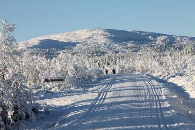 post-4016-0-39491600-1416735922_thumb.jp