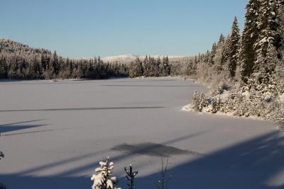 post-4016-0-80186200-1416735851_thumb.jp