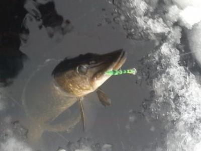 post-6295-0-79765400-1416956495_thumb.jp