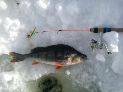 post-6295-0-84462000-1416956959_thumb.jp