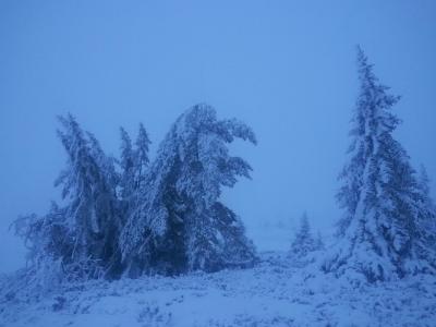 post-8554-0-22464800-1416213792_thumb.jp