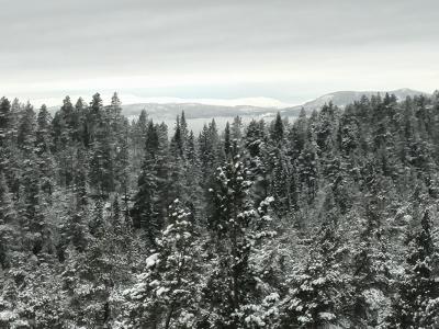 post-9055-0-41152000-1416764650_thumb.jp