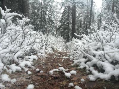 post-9055-0-73156000-1416764653_thumb.jp