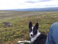 post-1047-0-43583100-1356107978_thumb.jp