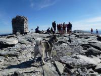 post-10481-0-77334900-1356113284_thumb.j