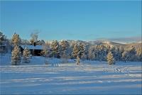 post-1068-0-50125200-1355080097_thumb.jp