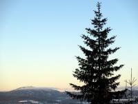 post-4444-0-66918100-1355004906_thumb.jp