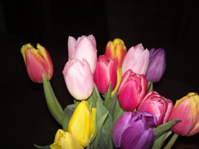 post-10448-0-17454500-1388428925_thumb.j