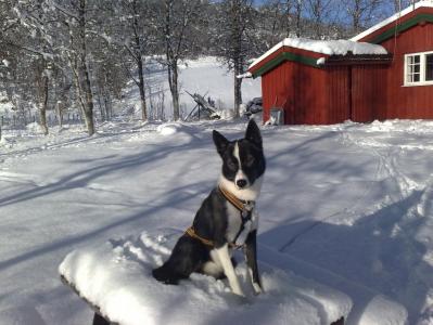 post-1047-0-23793100-1386861798_thumb.jp