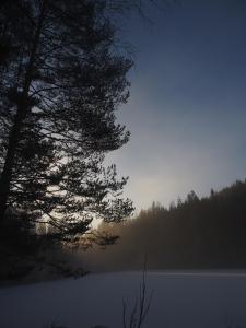 post-11507-0-27554900-1387108238_thumb.j