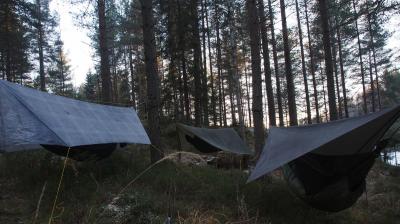 post-11507-0-73446400-1387108447_thumb.j