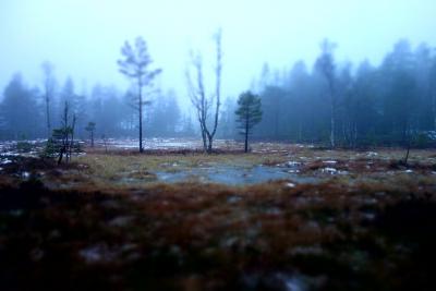 post-13043-0-10124300-1388420993_thumb.j