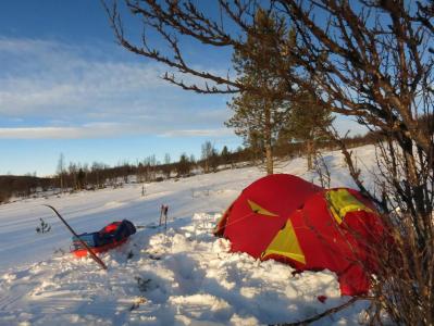 post-13206-0-07237400-1388440993_thumb.j