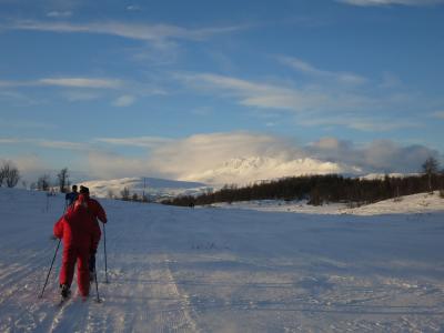 post-13206-0-12873900-1388442176_thumb.j