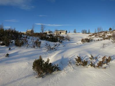 post-13206-0-27440100-1388441734_thumb.j