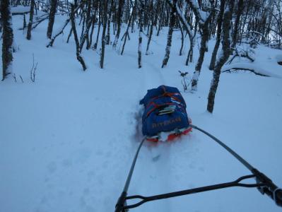 post-13206-0-45109500-1388440261_thumb.j