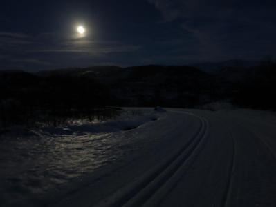 post-13206-0-57805800-1387138865_thumb.j